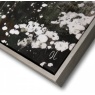 Art Marketing Summer Splendour Framed Canvas