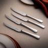 Robert Welch Bourton Steak Knife Set of 4