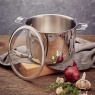 Stellar 22cm Stockpot 5L