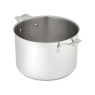 Stellar 26cm Stockpot 8L