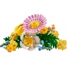 LEGO Botanicals 10347 Petite Sunny Bouquet