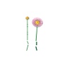 LEGO Botanicals 10347 Petite Sunny Bouquet