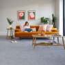 Cormar Carpet Co Cormar Apollo Plus Carpet