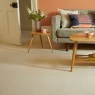 Cormar Carpet Co Cormar Primo Plus Carpet