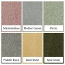 Victoria Carpets Victoria Easicare Aura Carpet 4m