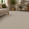 Downtown Providence Carpet 4m