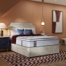 Sealy Nelson Plush Mattress & Divan Set