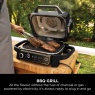 Ninja Ninja OG703UK Outdoor Woodfire Electric BBQ Grill & Smoker with Cover - Black