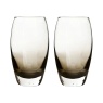 Denby Denby Contemporary Smoked Grey Large Tumbler Set of 2