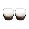 Denby Denby Contemporary Smoked Grey Small Tumbler Set of 2