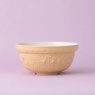 n Cash In The Meadow Daffodil Mixing Bowl 21cm - Yellow back Back / Mason Cash In The Meadow Daffodil Mixing Bowl 21cm - Yell