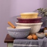 Mason Cash Mason Cash In The Meadow Tulip Mixing Bowl 24cm - Lilac