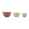 Mason Cash Mason Cash In The Meadow Set of 3 Measuring Cups - Multi