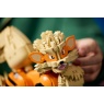 LEGO LEGO Pokémon 72160 Arcanine