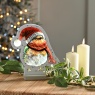 Festive Festive Robin With Scarf Infinity Light 20cm