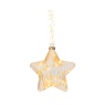 Lumineo Lumineo Micro LED Star 20cm