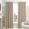 Bianca Chenille Leaves Eyelet Curtains - Natural
