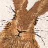 Evans Lichfield Evans Lichfield Boucle Hare Cushion 45cm - Natural