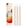 Ashleigh & Burwood Ashleigh & Burwood Christmas Spice Taper Candles 3 Pack