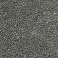 Lazio Grey