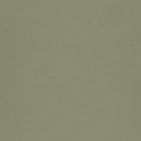 Paloma Shadow Green