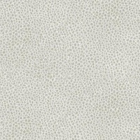 A123_Stngray_Platinum-stamp