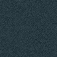 L851 - Cambridge Navy