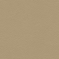 L844 - Cambridge Plaster