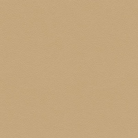 L855 - Cambridge Sand