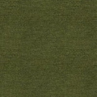 T261