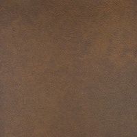 L1102