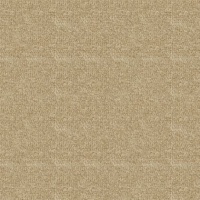 Boucle Truffle