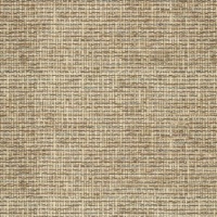 Euphoria Sand