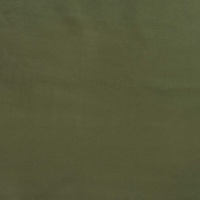 Plush Evergreen