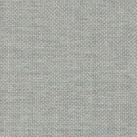 Capture Grey