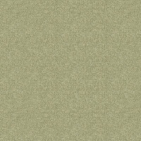Boucle Fennel