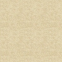 Boucle Oyster