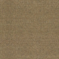 Montauk Plain Gold
