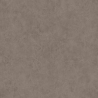 Bison Taupe AQ