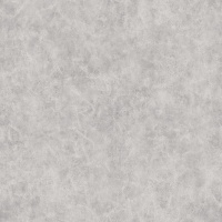 Bison Silver AQ