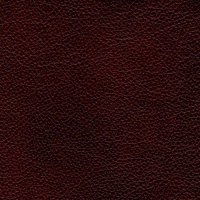 Antique Burgundy