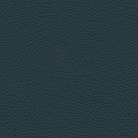 L851 Cambridge Navy