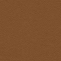 L847 Cambridge Tan