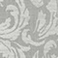 Austen Dove