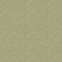 Boucle Fennel