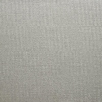 2030 - Canvas - Clay