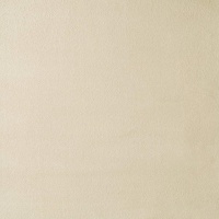 409 - Faux Suede - Champagne