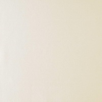 552 - Plain Satin - Ivory