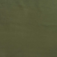 Plush Evergreen