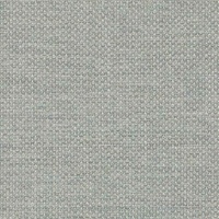 Capture Grey